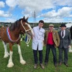 Michael Bower at the Keighley Show - Heavy Horse Foal Champion