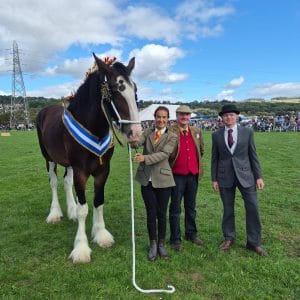 Michael Bower - keighley Show - Heavy Horse Champion